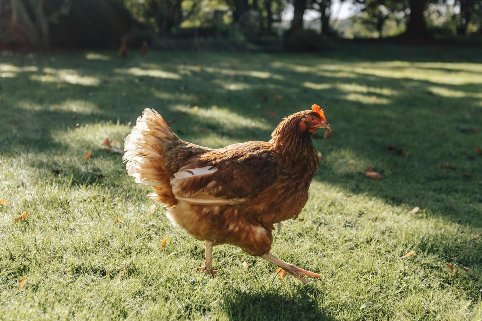 The Partridge Villa Medmenham Luaran gambar